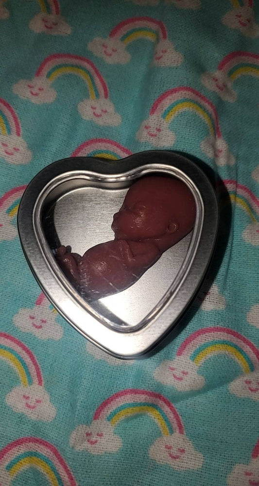 12 week gestation fetus baby memorial baby in tin heart keepsake