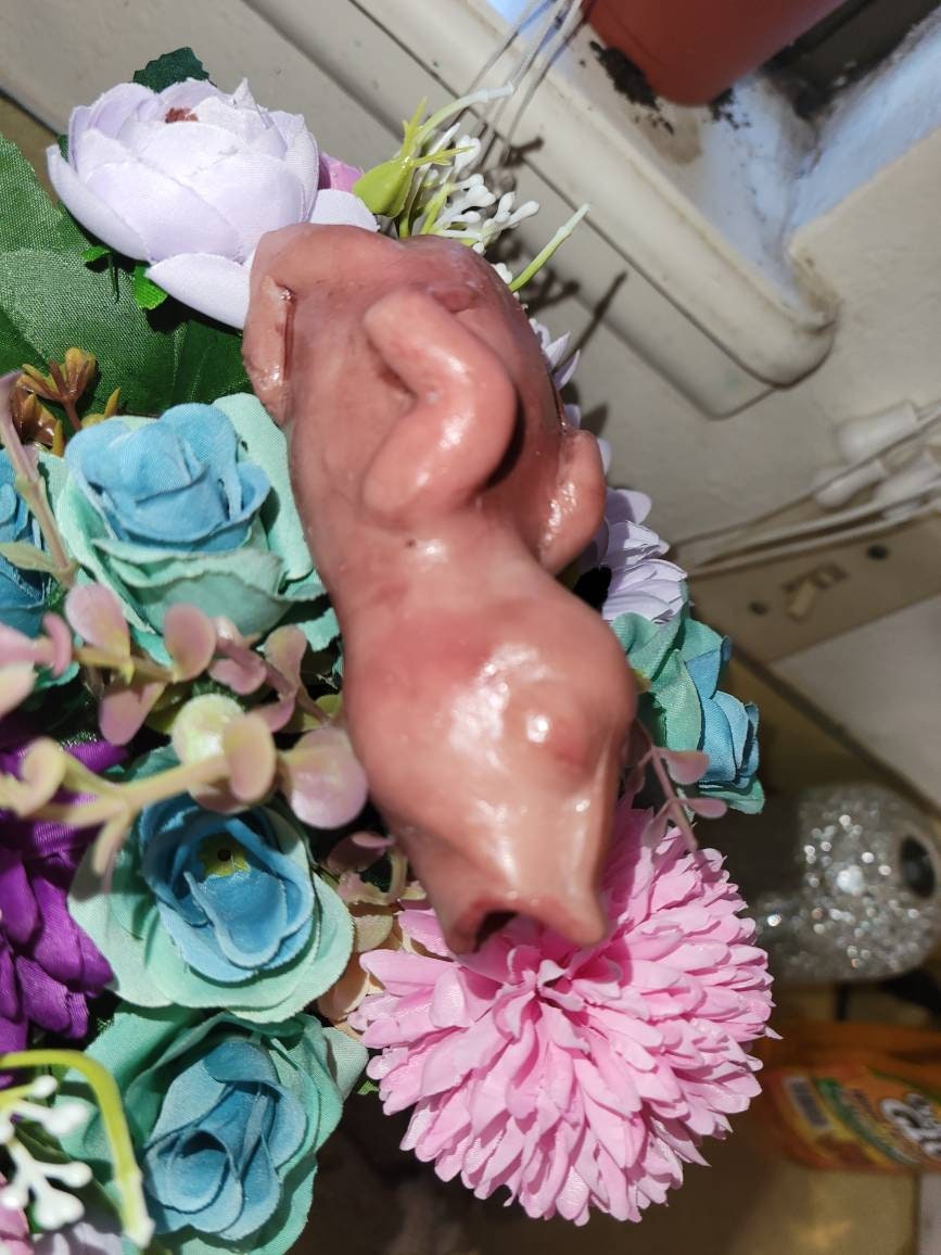 4" silicone baby birdie fully painted custom