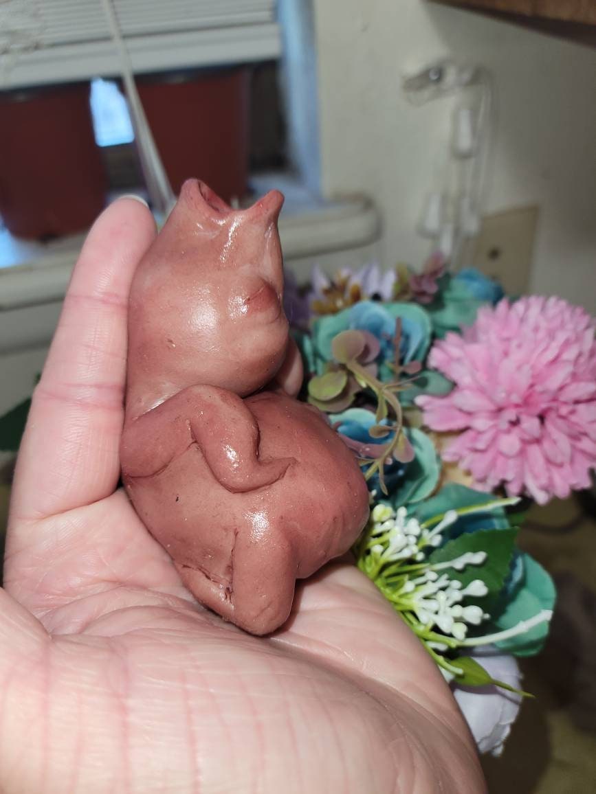 4" silicone baby birdie fully painted custom