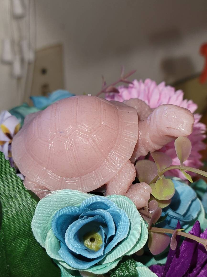 3" full body baby turtle
