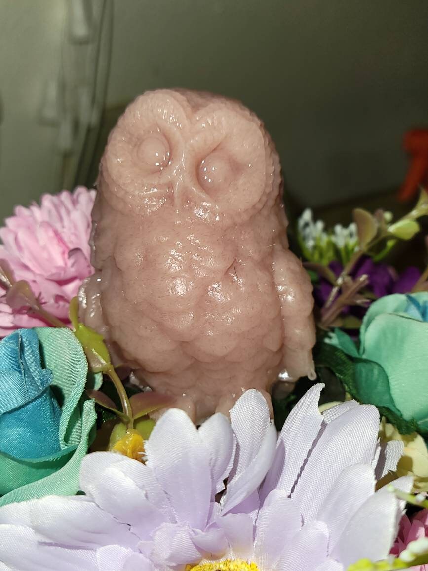 3" silicone baby owl.blank