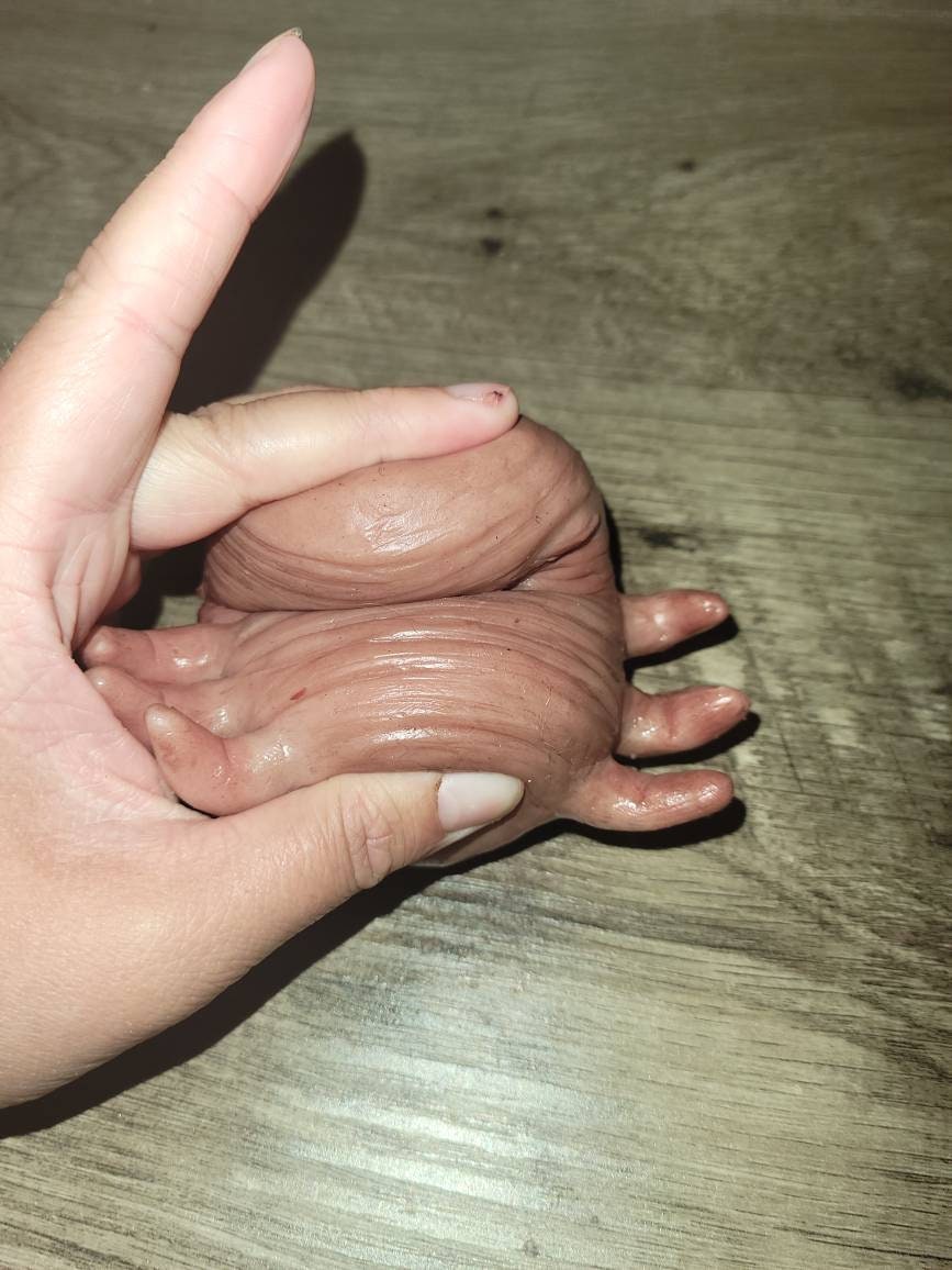 Full body silicone