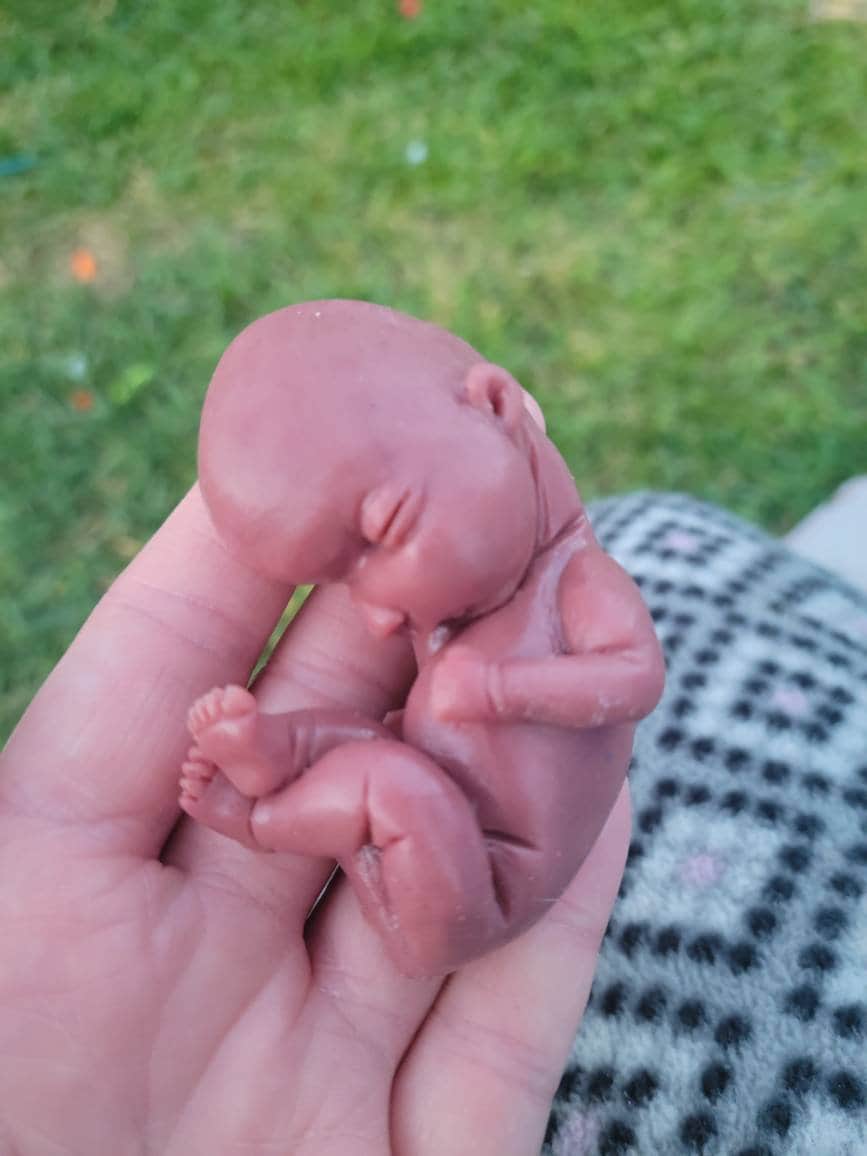 17 week gestational silicone baby fetus memorial baby