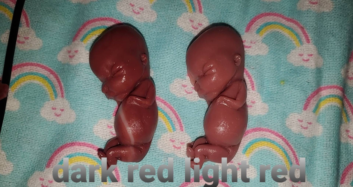 12 week gestation fetus baby memorial baby in tin heart keepsake