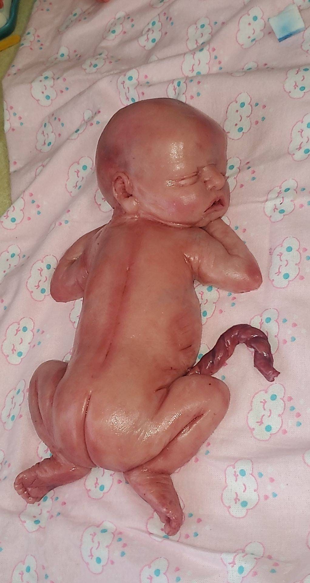 13" silicone baby girl blank kit unpainted with umbilical cord maribelle