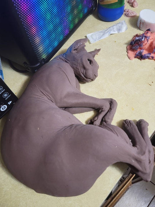 Silicone sphynx cat