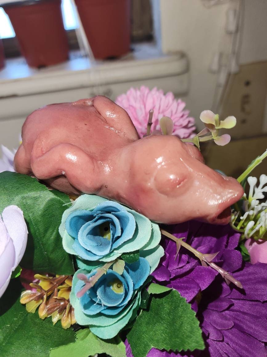 4" silicone baby birdie fully painted custom