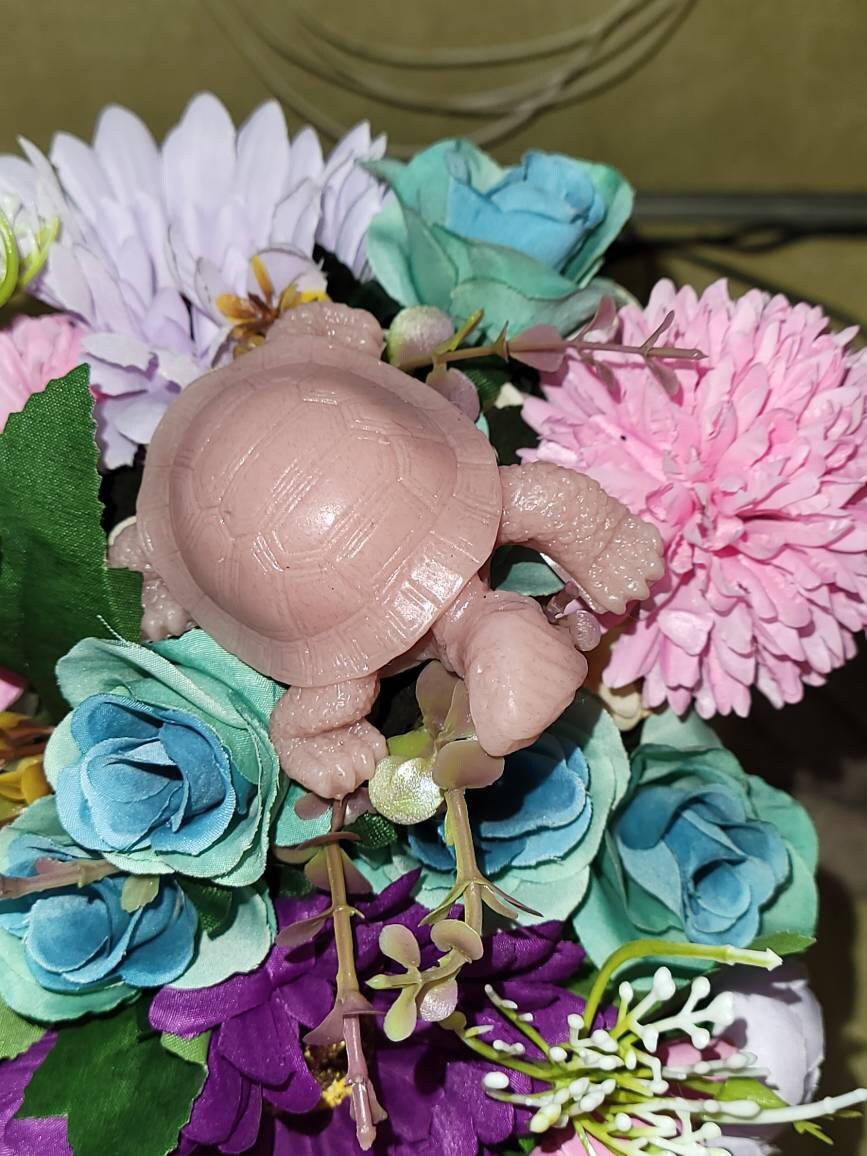 3" full body baby turtle