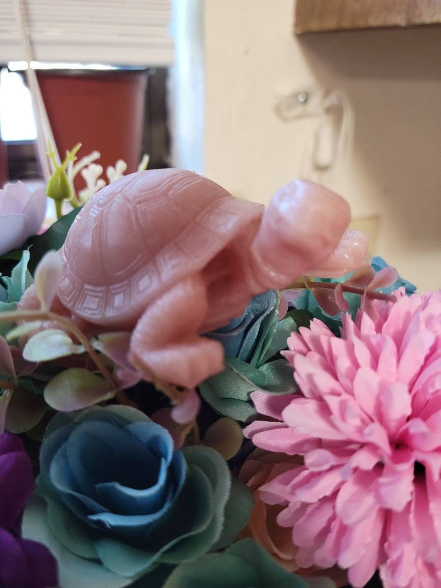3" full body baby turtle