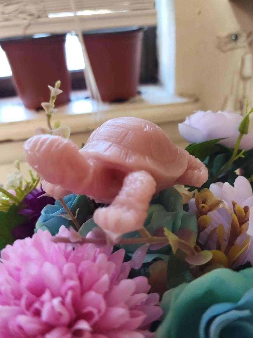 3" full body baby turtle