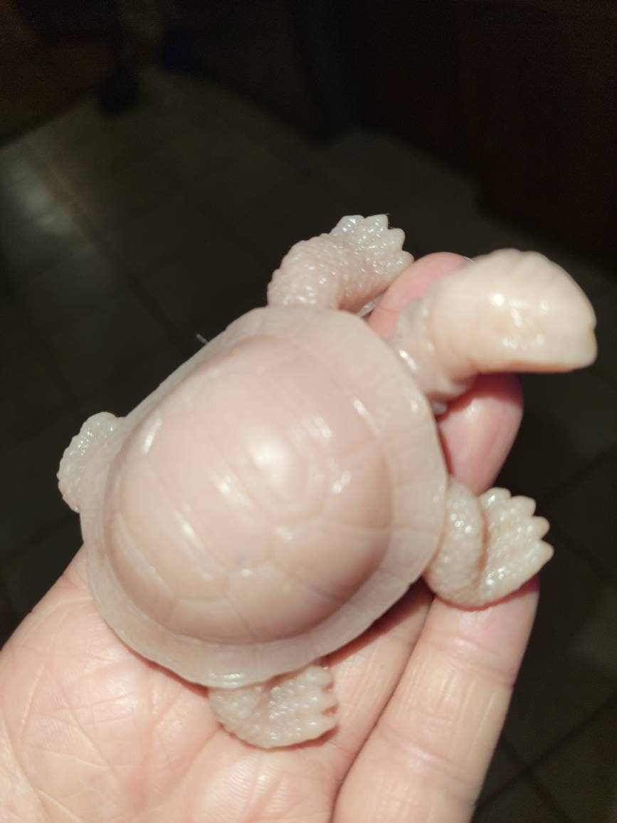 3" full body baby turtle