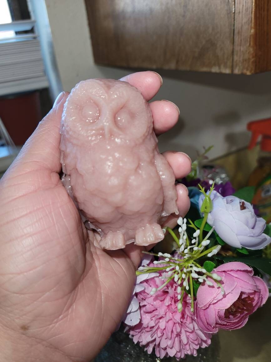 3" silicone baby owl.blank