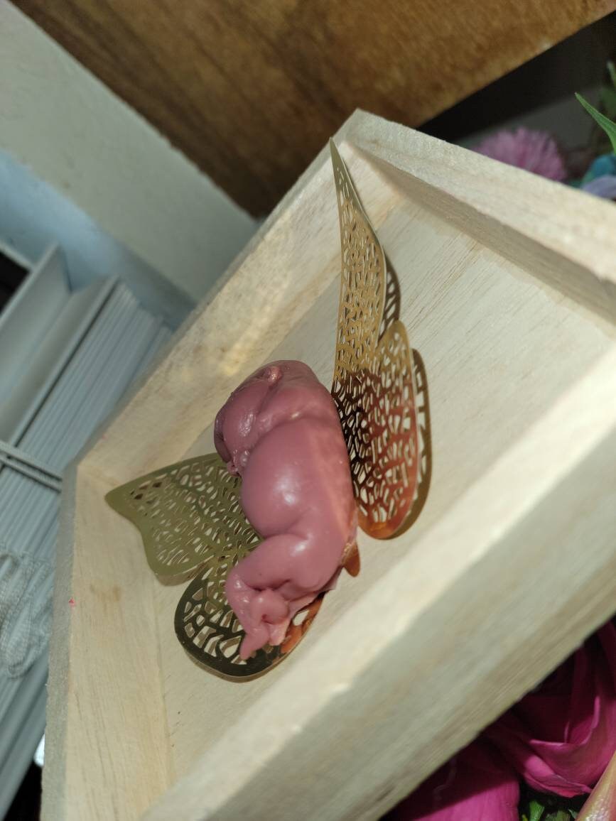 13 week gestational memorial fetus silicone baby wall art