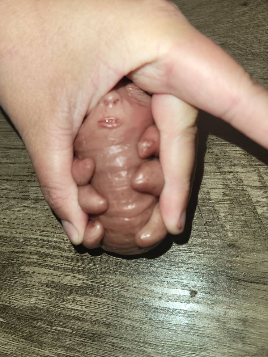 Full body silicone