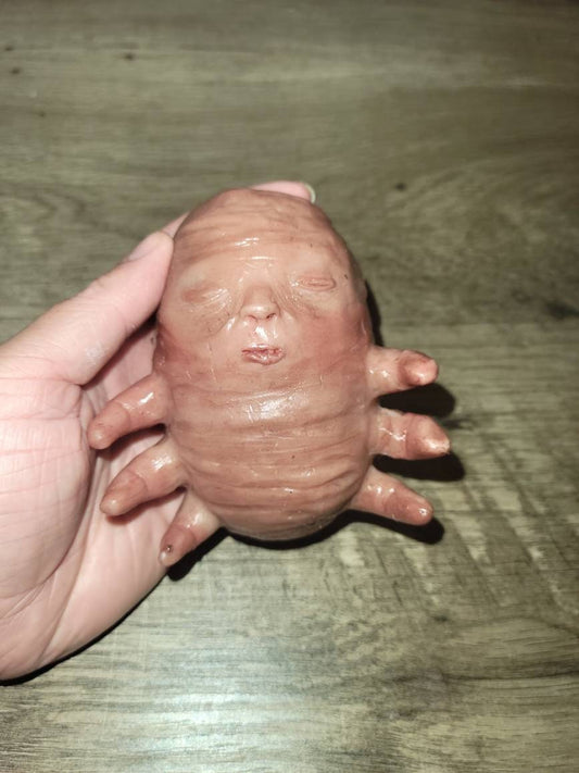 Full body silicone