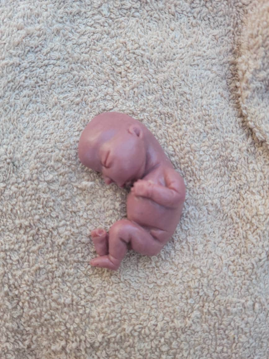 15 week memorial fetus silicone baby