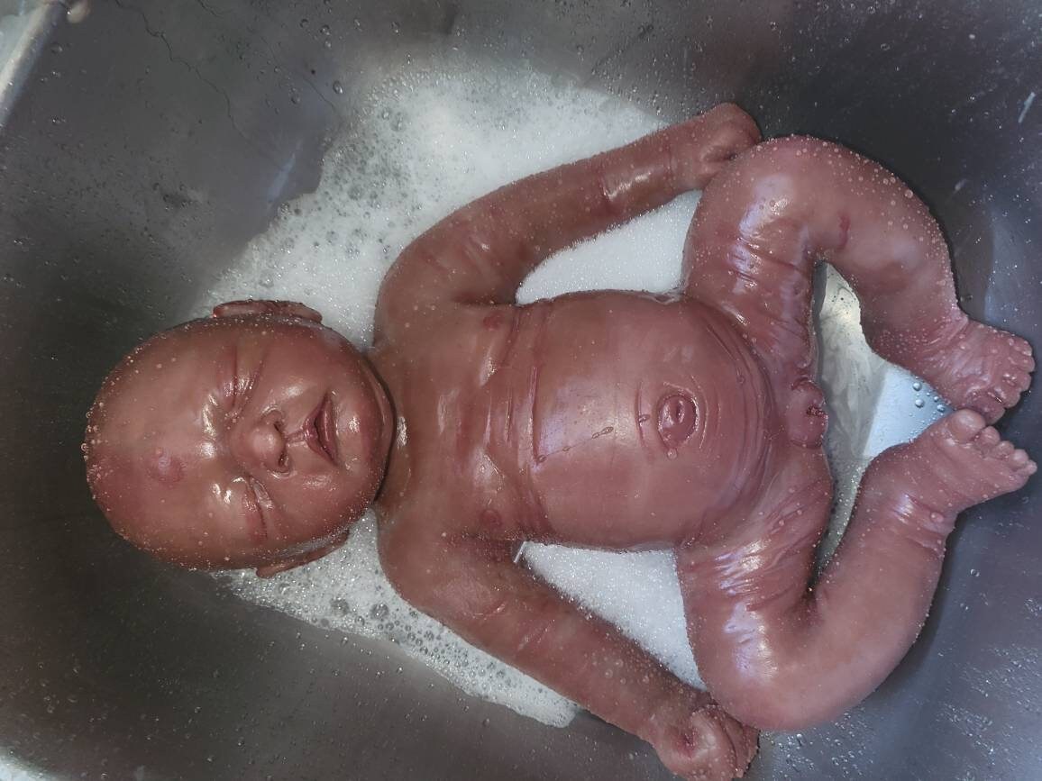 Full Body Silicone Baby Girl 18" chassie