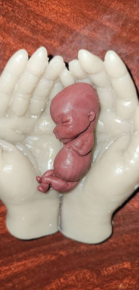 12 week gestational fetus memorial baby in hands