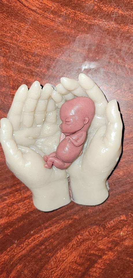 12 week gestational fetus memorial baby in hands