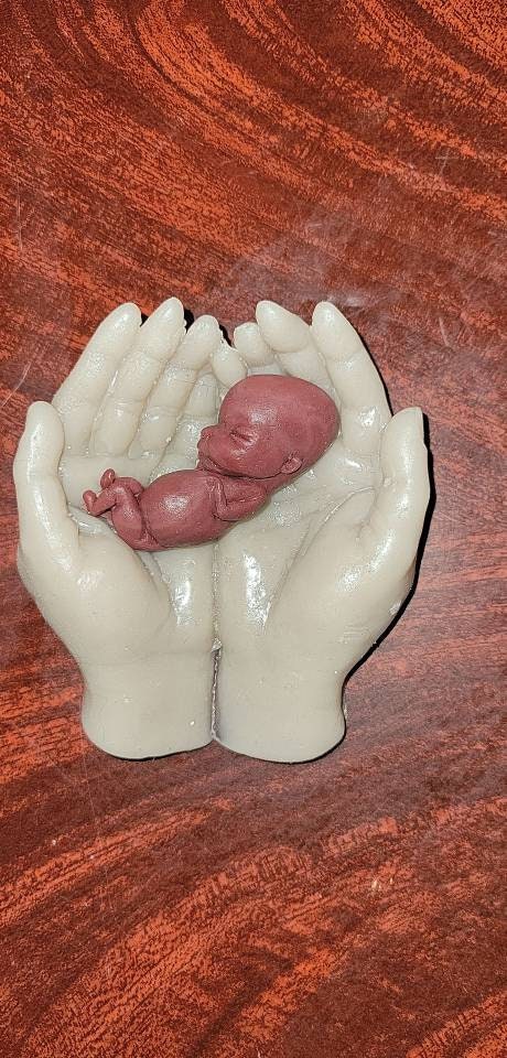 12 week gestational fetus memorial baby in hands