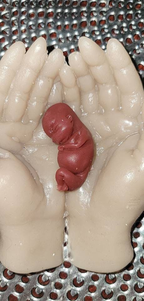 Memorial fetus babies silicone fetus and hands 10 or 11 week gestation