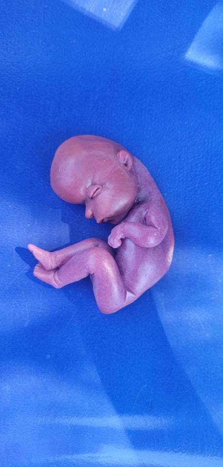 18 week gestational fetus baby born too soon memorial silicone baby