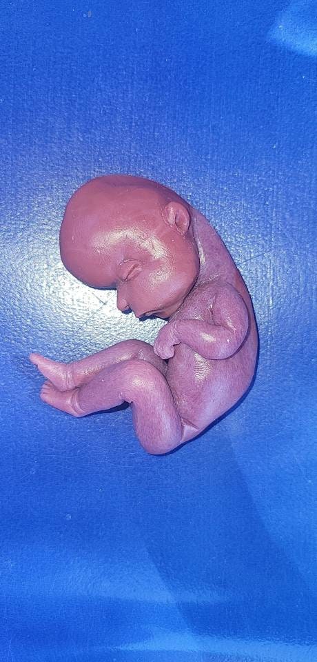 18 week gestational fetus baby born too soon memorial silicone baby