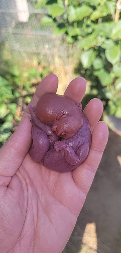 18 week gestational fetus baby born too soon memorial silicone baby