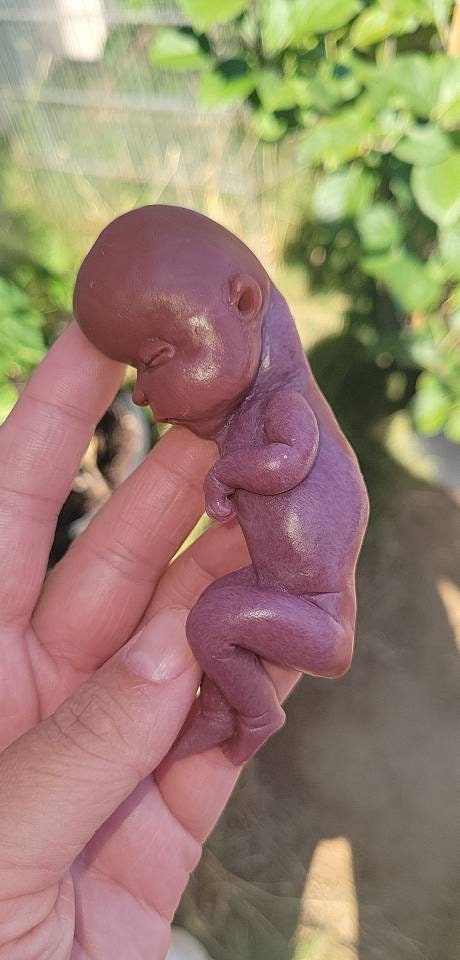 18 week gestational fetus baby born too soon memorial silicone baby