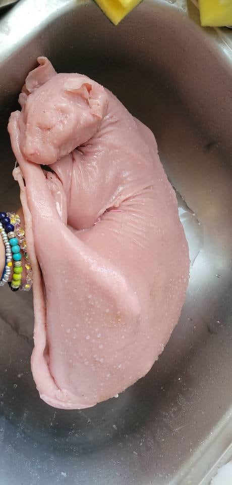 Silicone Sphynx cat full real size