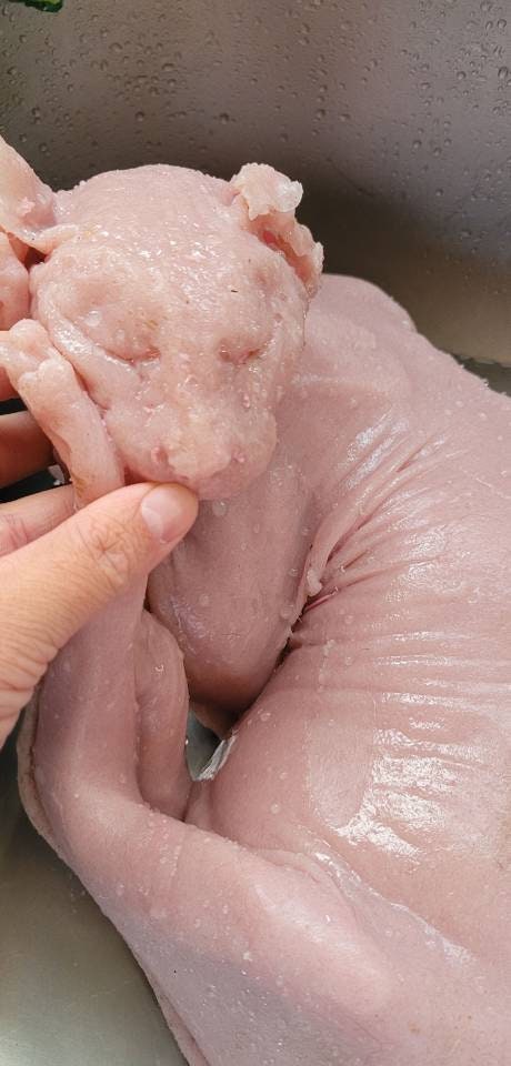 Silicone Sphynx cat full real size