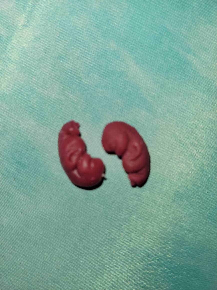 8 week old gestation fetus memorial silicone baby