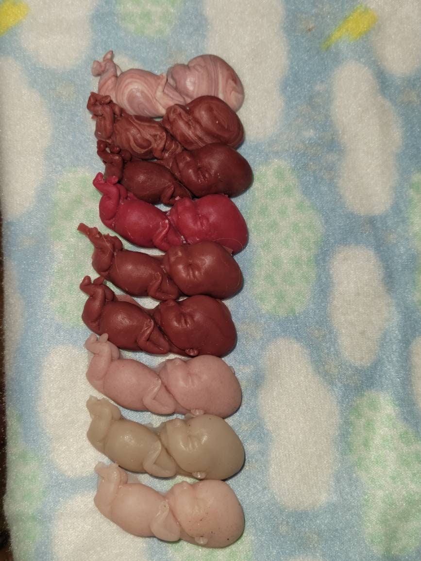 12 week gestational fetus memorial baby keepsake