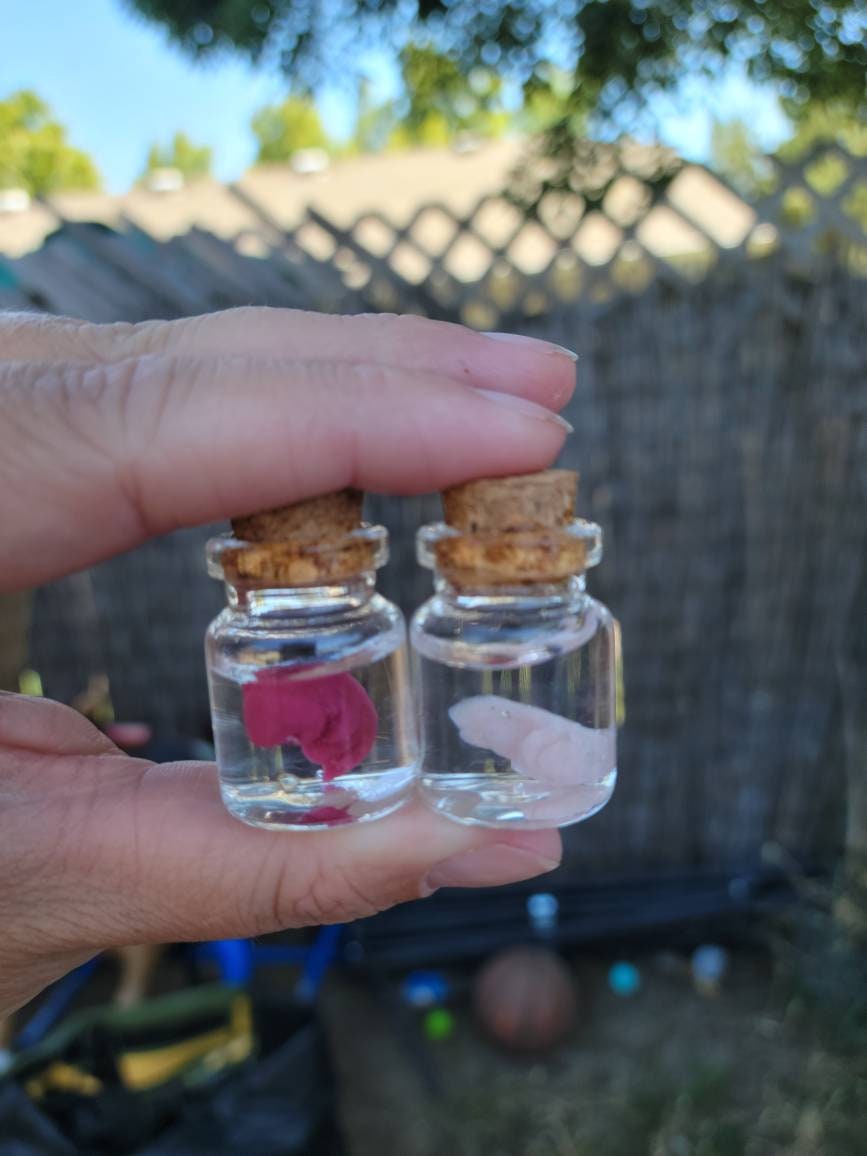 fetus silicone memorial baby in glass jar
