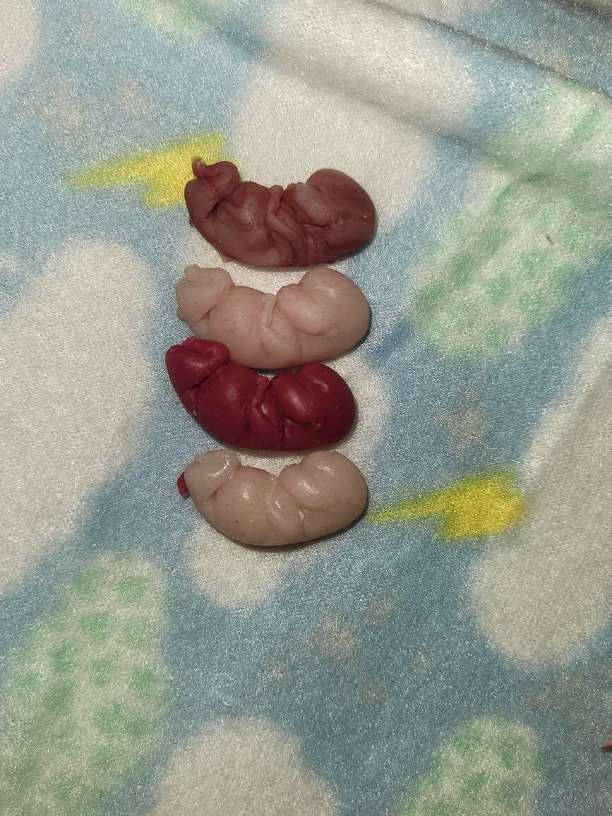 10 or 11 week gestational fetus silicone baby