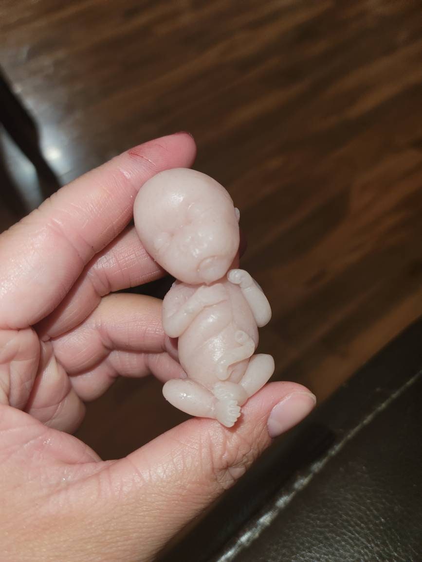 14 week gestation fetus memorial silicone baby keepsake