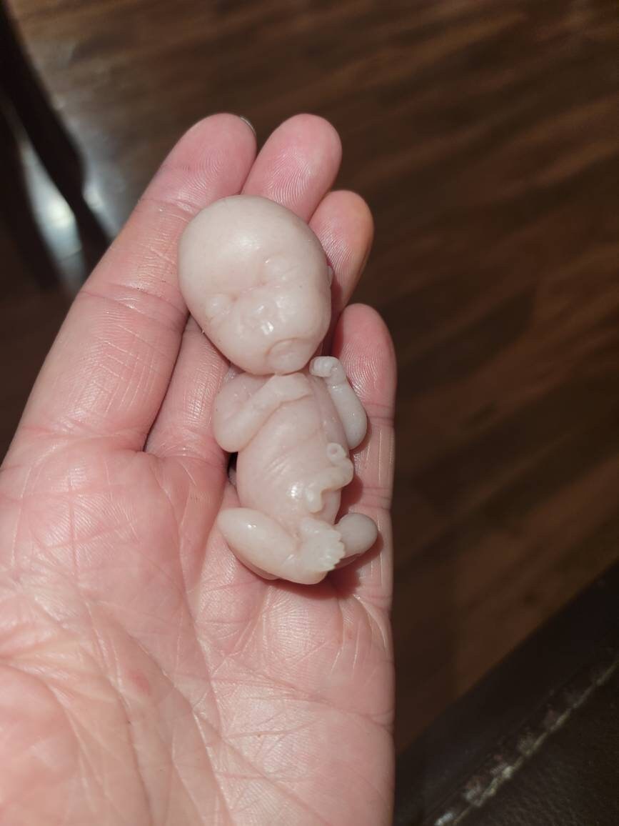 14 week gestation fetus memorial silicone baby keepsake