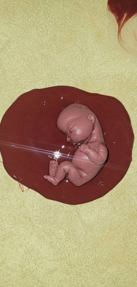 Silicone baby fetus memorial baby inside red womb you choose gestational size