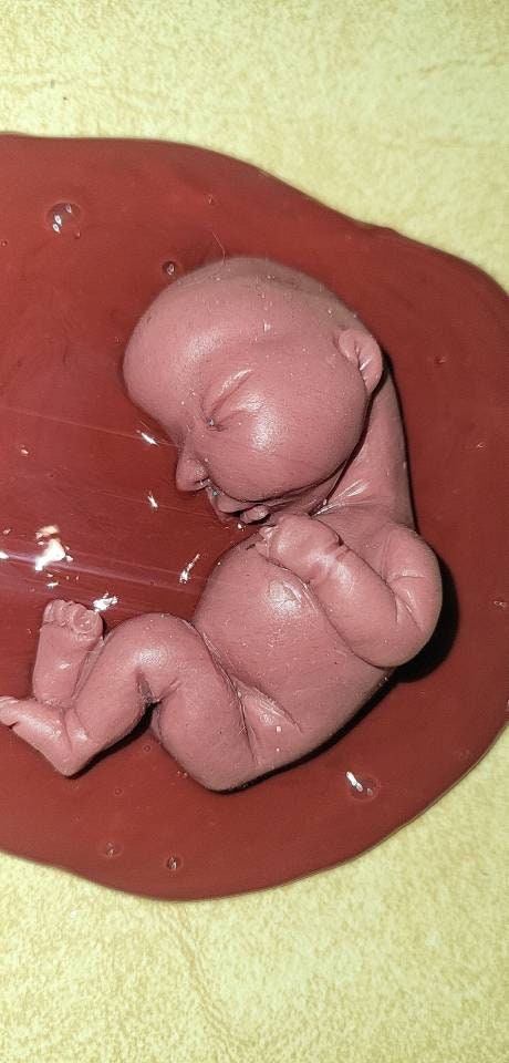Silicone baby fetus memorial baby inside red womb you choose gestational size