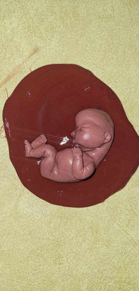 Silicone baby fetus memorial baby inside red womb you choose gestational size