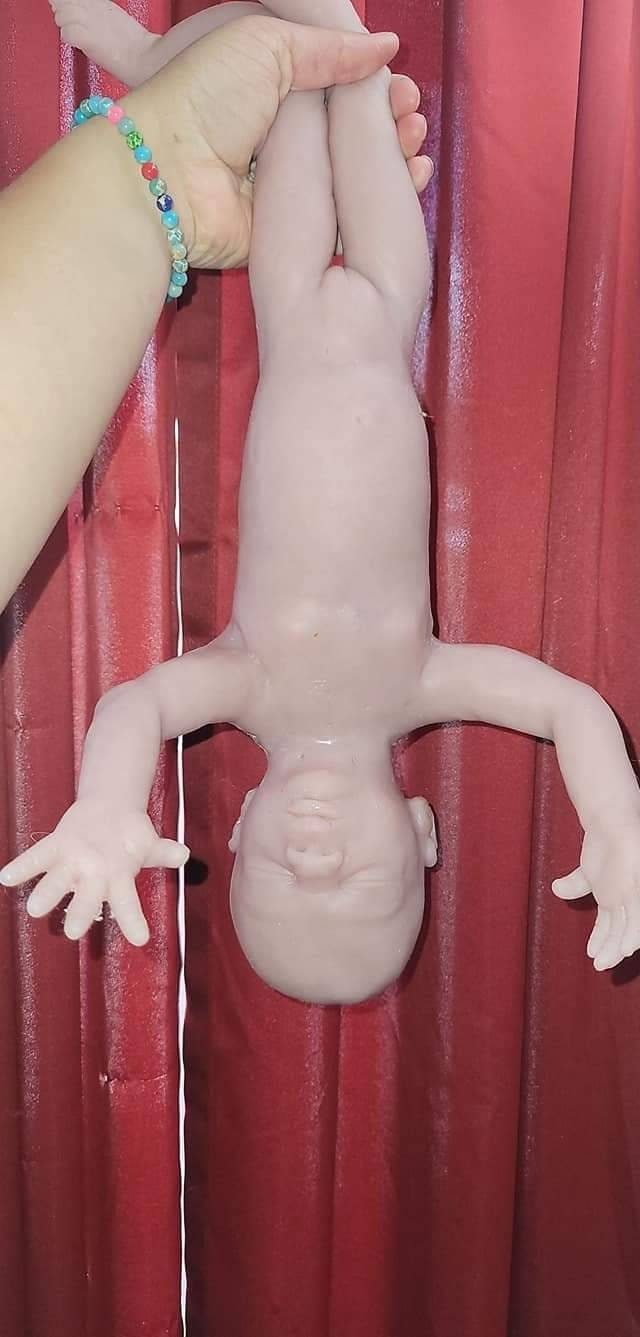 Full Body Silicone Baby Maisy 17.5"