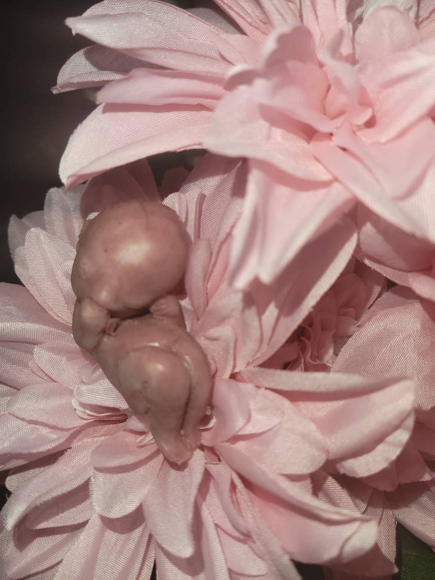 13 week gestational fetus silicone baby