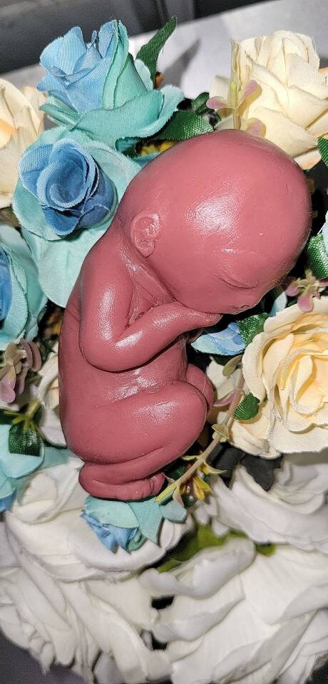 20 week gestational fetus memorial silicone baby