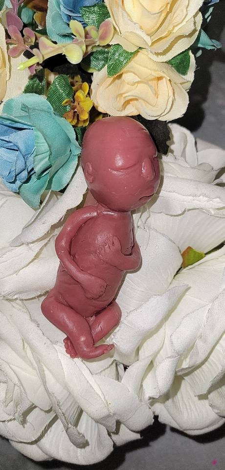 17 week gestational fetus baby memorial silicone baby