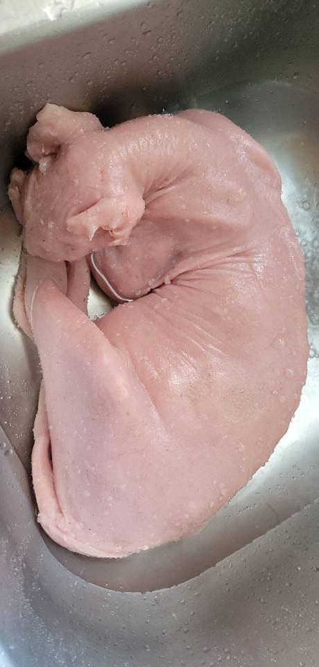 Silicone Sphynx cat full real size