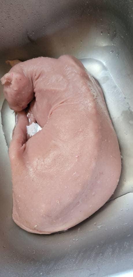 Silicone Sphynx cat full real size
