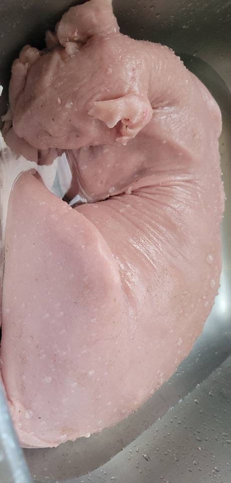 Silicone Sphynx cat full real size