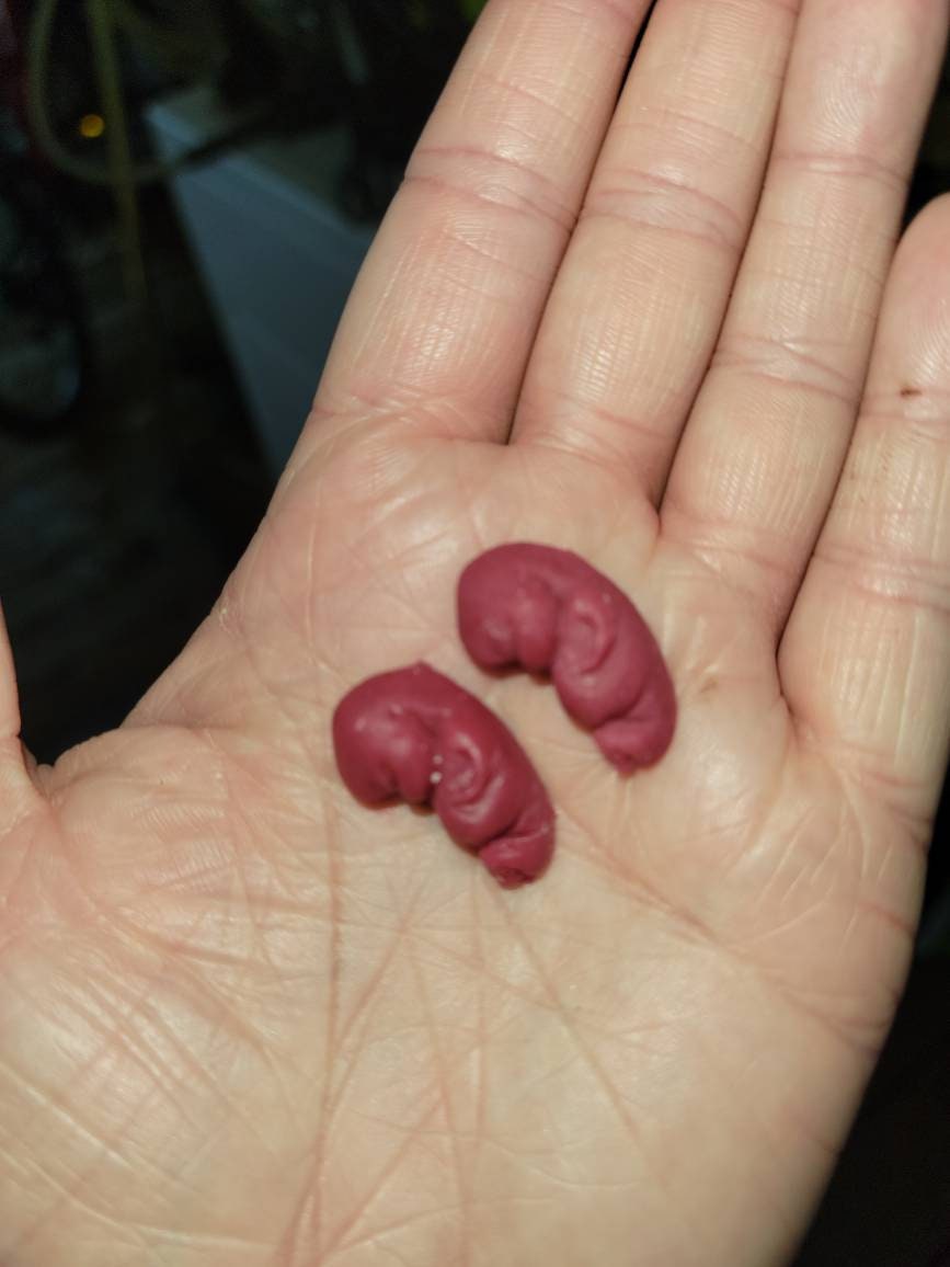 8 week old gestation fetus memorial silicone baby