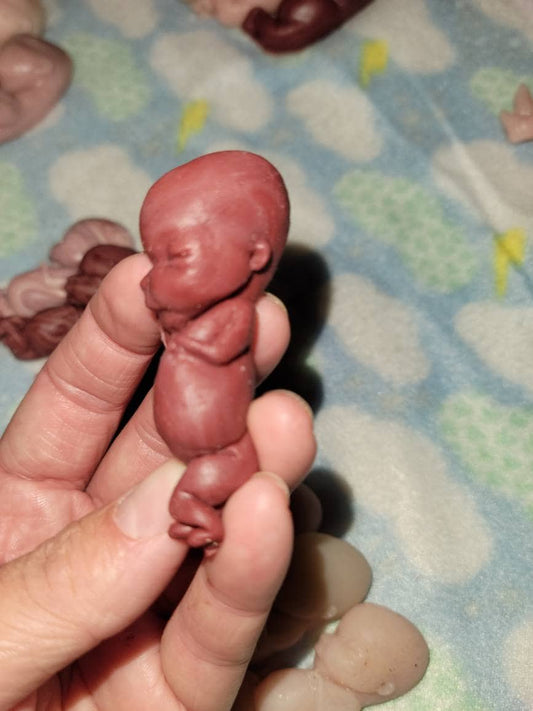 12 week gestational fetus memorial baby keepsake