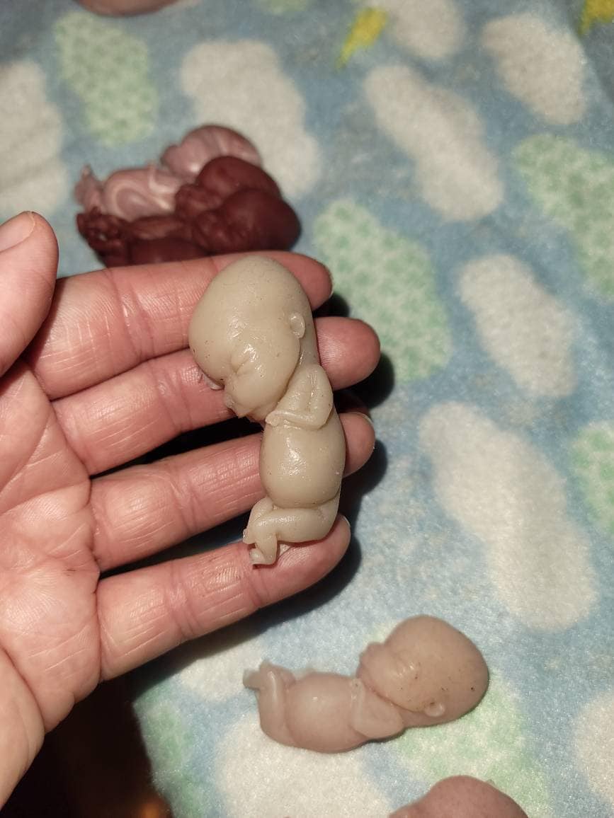 12 week gestational fetus memorial baby keepsake